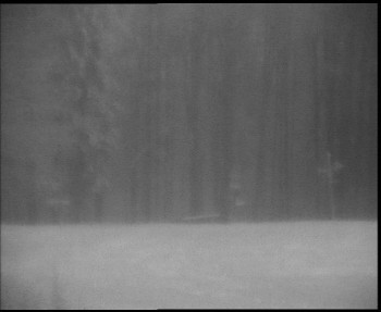 Snímek 18.11.2025 v 16:30