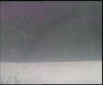 Snímek    24.11.2025 v 11:30