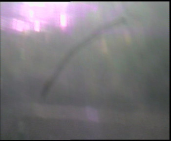 SkiAreál - Horský hotel...