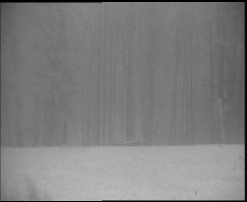 SkiAreál - Horský hotel...