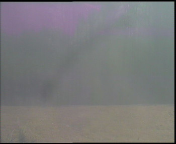 SkiAreál - Horský hotel...