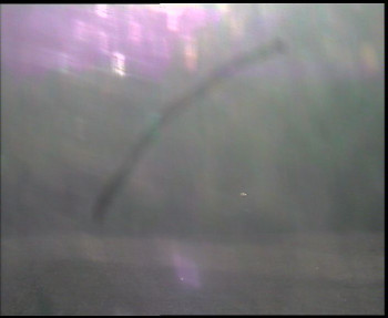 SkiAreál - Horský hotel...