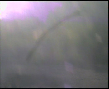 SkiAreál - Horský hotel...