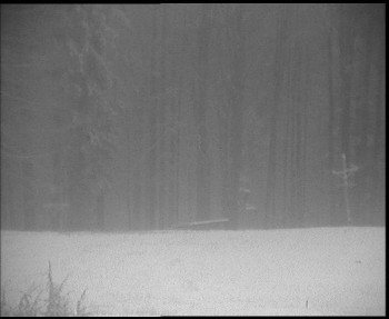 SkiAreál - Horský hotel...