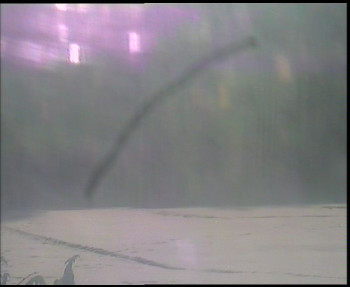 SkiAreál - Horský hotel...