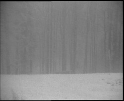 Nastupní stanice vleku