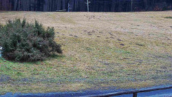 Nastupní stanice vleku