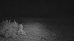 Nastupní stanice vleku