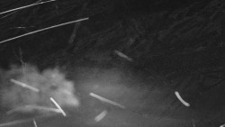 Nastupní stanice vleku