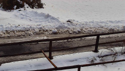 Nastupní stanice vleku