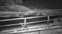 Nastupní stanice vleku