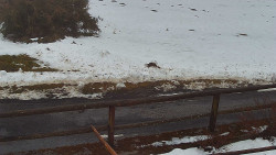 Nastupní stanice vleku