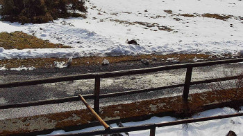 SkiAreál - Horský hotel...