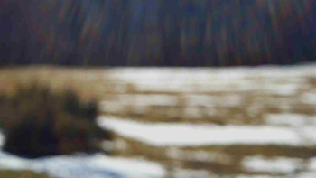 SkiAreál - Horský hotel...