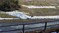 Nastupní stanice vleku