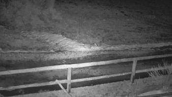 SkiAreál - Horský hotel...