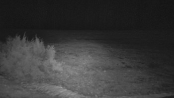 SkiAreál - Horský hotel...