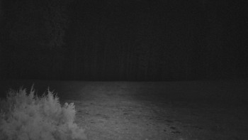 SkiAreál - Horský hotel...