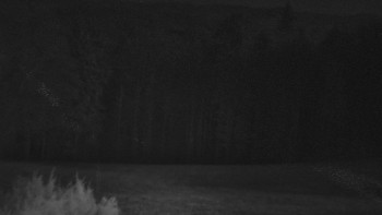 SkiAreál - Horský hotel...