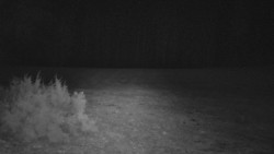 Nastupní stanice vleku