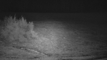 SkiAreál - Horský hotel...