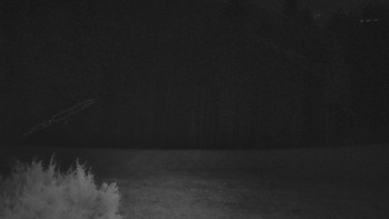 SkiAreál - Horský hotel...