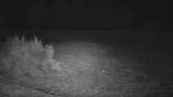 Nastupní stanice vleku