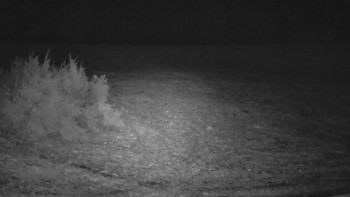 SkiAreál - Horský hotel...