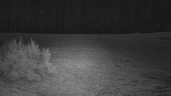 SkiAreál - Horský hotel...