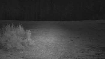 SkiAreál - Horský hotel...