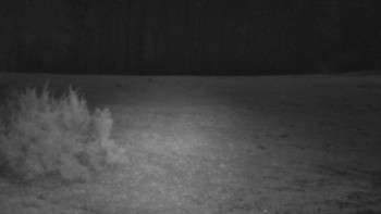 SkiAreál - Horský hotel...