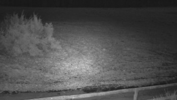 SkiAreál - Horský hotel...