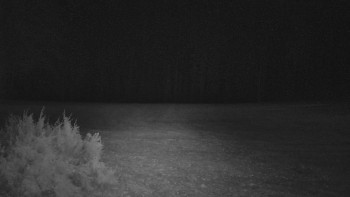 SkiAreál - Horský hotel...