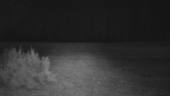 SkiAreál - Horský hotel...