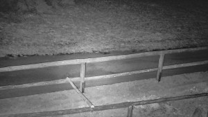 SkiAreál - Horský hotel Vsacký Cáb - Nastupní stanice vleku - 16.3.2026 v 00:45 SkiAreál - Horský hotel Vsacký Cáb - Nastupní stanice vleku - 16.3.2026 v 00:45