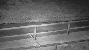 SkiAreál - Horský hotel Vsacký Cáb - Nastupní stanice vleku - 16.3.2026 v 01:45 SkiAreál - Horský hotel Vsacký Cáb - Nastupní stanice vleku - 16.3.2026 v 01:45