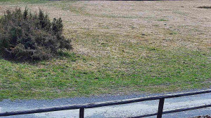 SkiAreál - Horský hotel Vsacký Cáb - Nastupní stanice vleku - 25.3.2026 v 10:45