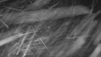 SkiAreál - Horský hotel...