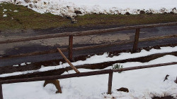 Nastupní stanice vleku