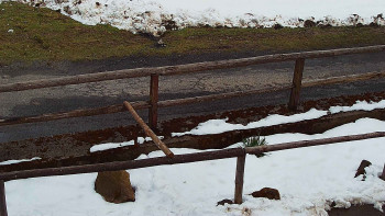 SkiAreál - Horský hotel...