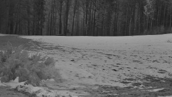 SkiAreál - Horský hotel...