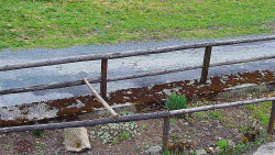 Nastupní stanice vleku