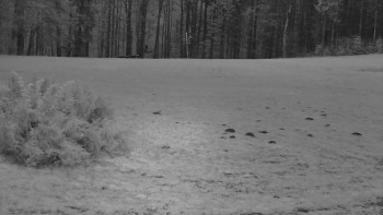 SkiAreál - Horský hotel...