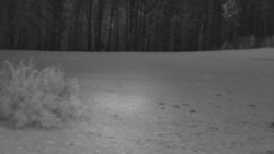 Nastupní stanice vleku