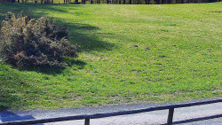 Nastupní stanice vleku