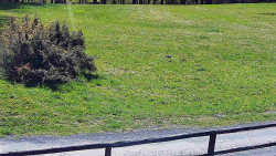 Nastupní stanice vleku