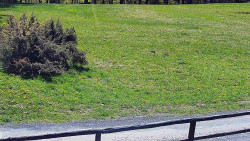 Nastupní stanice vleku