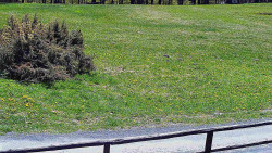 Nastupní stanice vleku