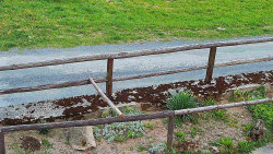 Nastupní stanice vleku