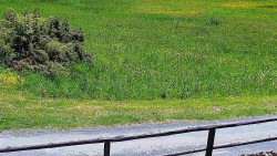Nastupní stanice vleku